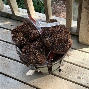 Pine cones